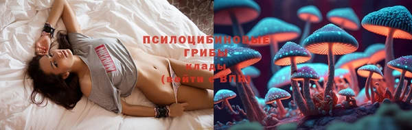 тгк Балахна