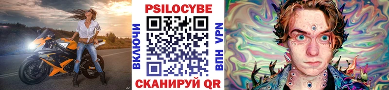 как найти закладки  Томилино  Псилоцибиновые грибы Psilocybe 